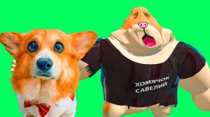 ХОМЯЧОК САВЕЛИЙ ПРИШЕЛ ЧТОБЫ ОТОМСТИТЬ НАМ!! 5 ночей с бобром в реальной жизни!