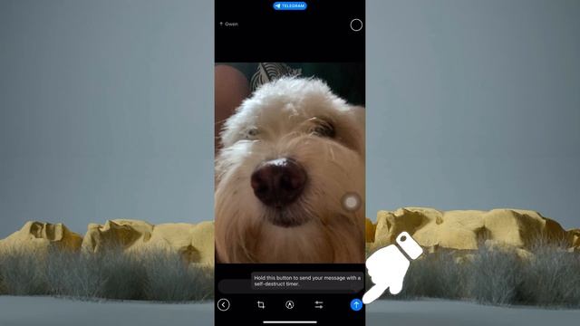 How To Send Temporary Picture In Telegram On An Iphone 2024 смотреть онлайн