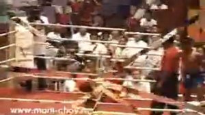 Бирманский бокс