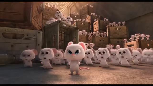 Реальная Белка 2017 смотреть онлайн