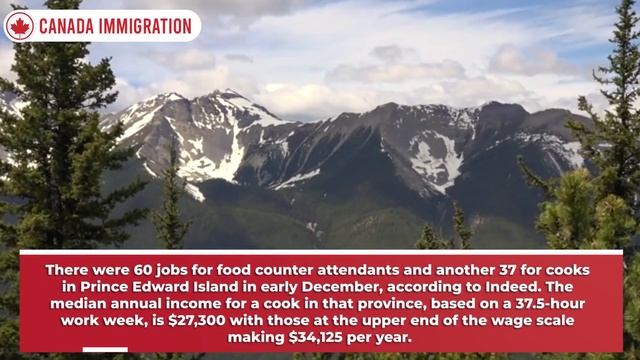 Get Canada Easy PR : Top 10 Most In-Demand Jobs in Canadian | Canada Immigration News 2022 смотреть онлайн
