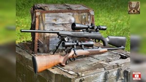 Новые правила охоты поговорим о калибрах