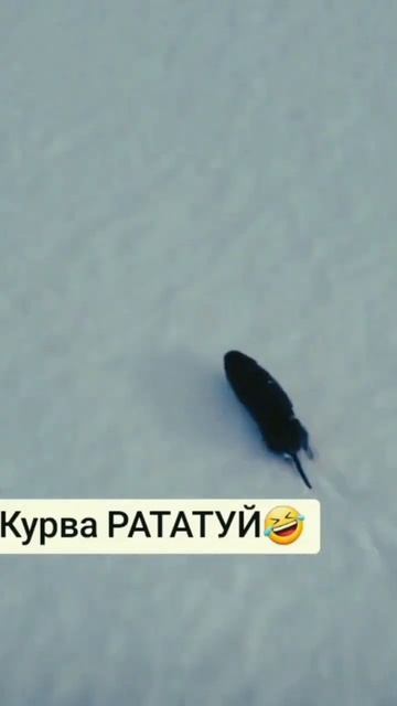 Рататуй# приколы#)😂 смотреть онлайн