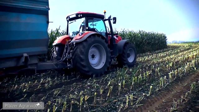 Maisernte 2014 für die BGA Wallhalben ► Jaguar 890 | 5x Deutz| 2x McCormick| John Deere| Manitou смотреть онлайн