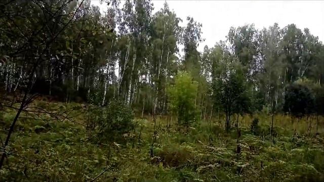 ОПЯТА смотреть онлайн