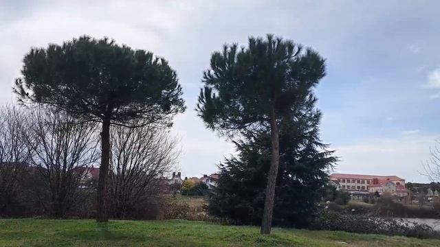 Где побывать в Сириусе за неделю. Сочи. Адлер. Все достопримечательности. смотреть онлайн