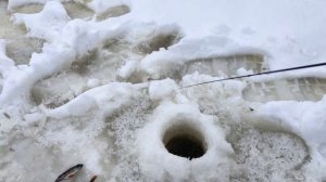 Большое Рутавечь, ловля на безкивковую удочку AKARA, окуни со средний палец, раки проходят мимо