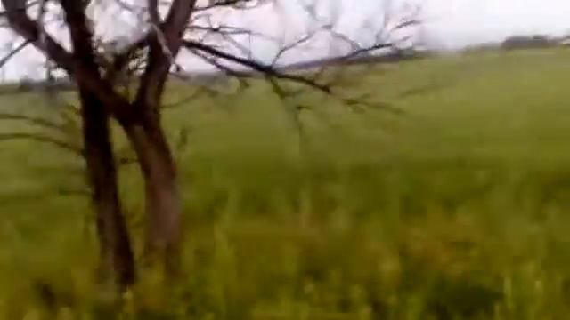 Галопом по чужому полю