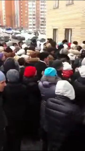 Очередь за талонами в садик Балашиха