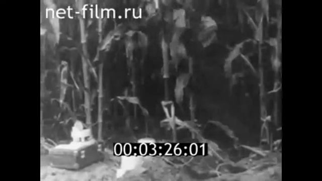1964г. Волгоград. сельскохозяйственный институт смотреть онлайн