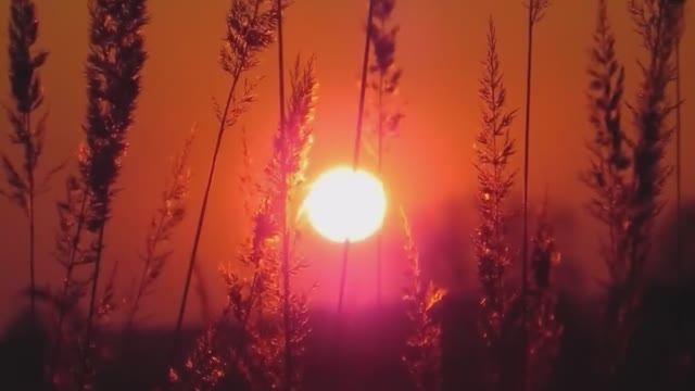 Vangelis - Rachel Song