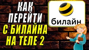 Как перейти с билайна на теле2