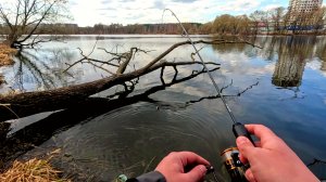 Неожиданный Мормышинг- Рыбное открытие сезона!!! Таскаю окуней, а вокруг никого!