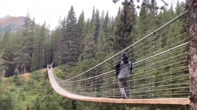 BLACK SHALE SUSPENSION BRIDGE смотреть онлайн