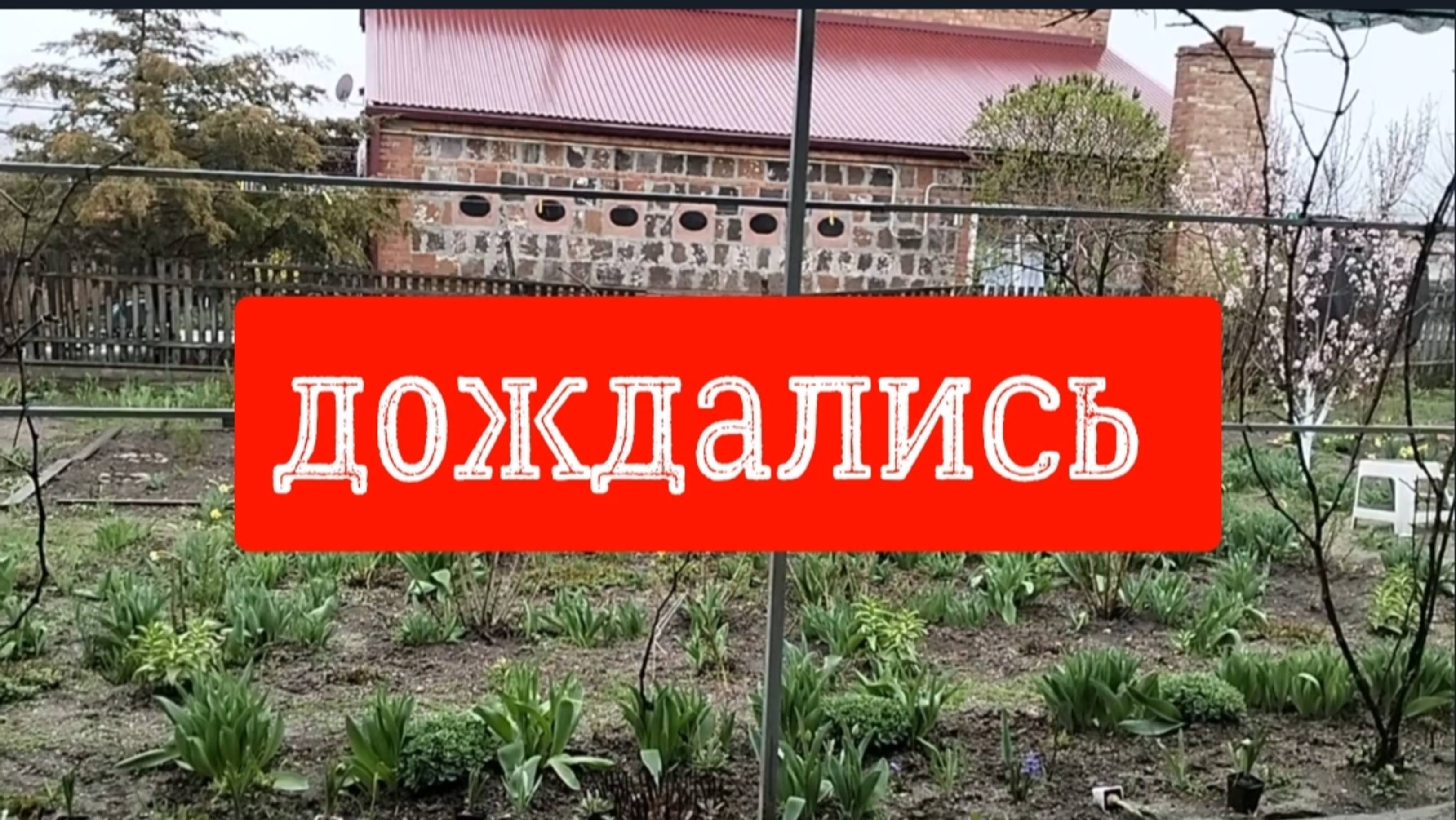 Нас заливает/Голубцы для мужа/Вот так новость смотреть онлайн