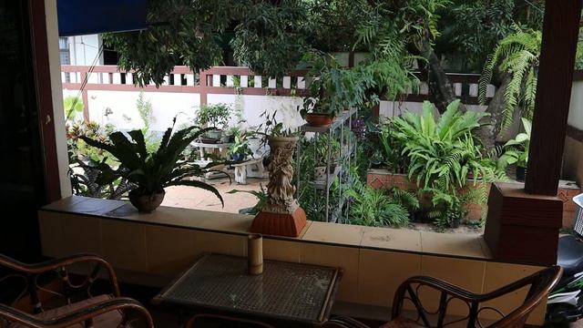 Garden Ambience 10 Minutes HD 4K Ferns, Bird Sounds, Wind Chimes смотреть онлайн