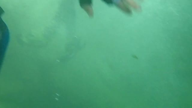 Montixi (Liguria, Imperia) 2018 смотреть онлайн