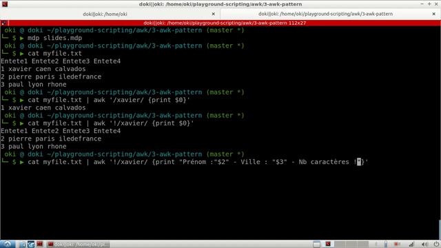 SCRIPTS 1.3 - AWK : recherche, pattern et BEGIN смотреть онлайн
