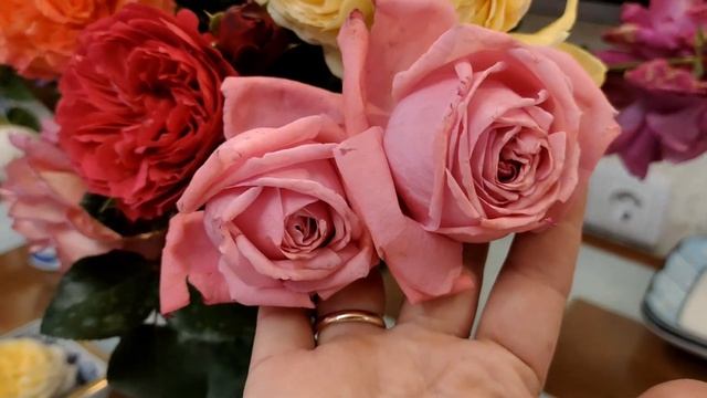 Роскошные розы для праздника смотреть онлайн