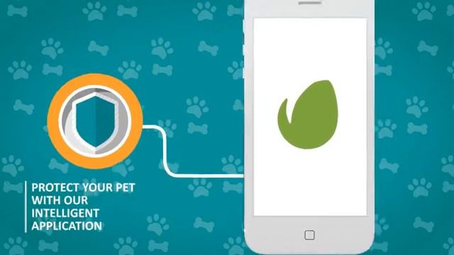 Pet Application Promo смотреть онлайн