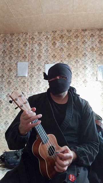 Very Nordic Ninja: Fr! (02.04.2025) Крайне Северный Ниндзя: Фр! #VeryNordicNinjaUkuleleRiffArts