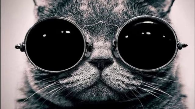_PALC_Тараканы_Top_remix смотреть онлайн
