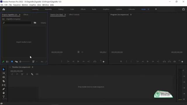 Topic 14 | different way to import into footage Adobe Premiere Pro | Digiskills Course смотреть онлайн