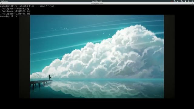 terminology 0.4 terminal emulator running on elementary / ubuntu смотреть онлайн