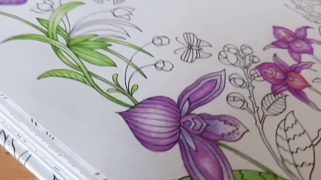 Хобби-влог #9 //новая раскраска //что я делаю, когда заканчиваю работу//перебираю фломастеры