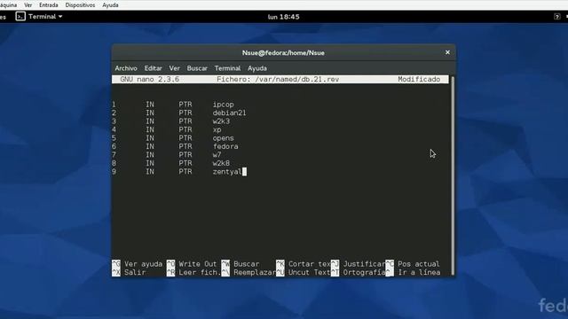 fedora dns смотреть онлайн