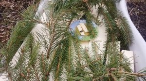 Холодно но пчелки идут за водой