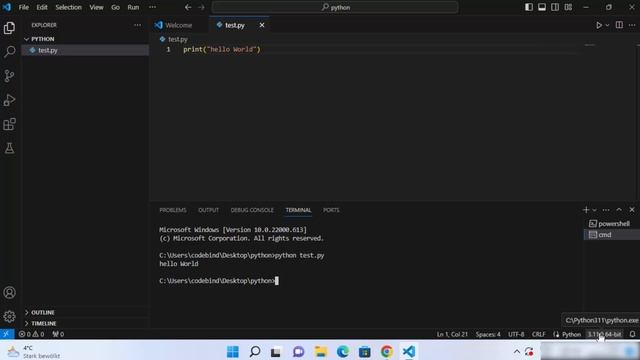 How to Add Python Interpreter in Visual Studio Code - Step By Step (2024) смотреть онлайн