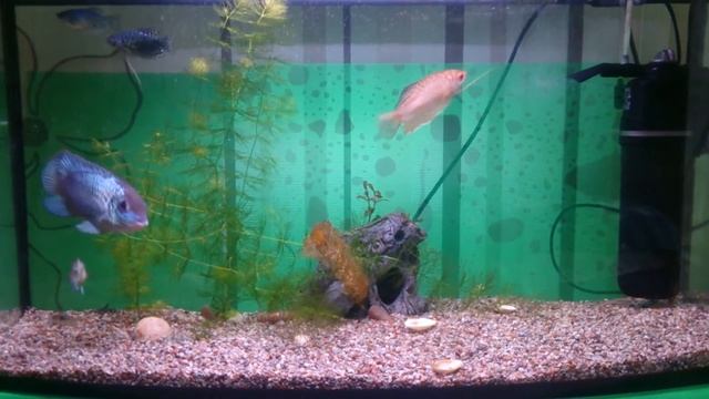 AQUAEL fan 2plus смотреть онлайн