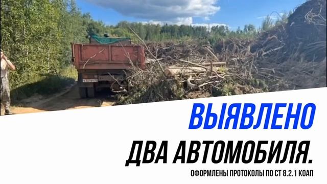 В Рузском округе проведены мероприятия по пресечению незаконного сброса мусора смотреть онлайн