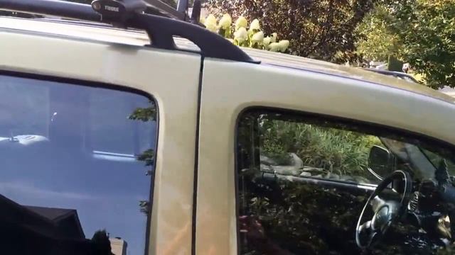 Jeep Liberty Sport 2003 смотреть онлайн