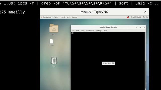 tiger vnc shared memory leak смотреть онлайн