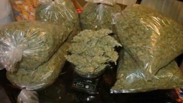 all the weed.wmv смотреть онлайн