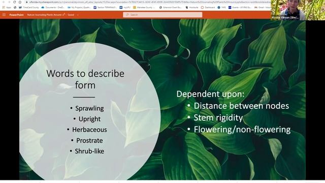 Plants смотреть онлайн