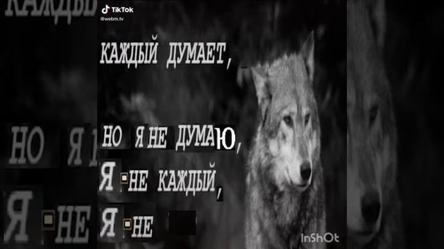 Цитаты Волка смотреть онлайн