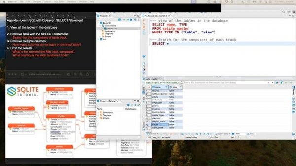 SQL with DBeaver: How to use SELECT Statement