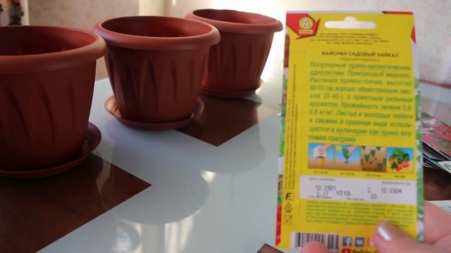 Полезный и лекарственный миниогородик на подоконнике в декабре смотреть онлайн