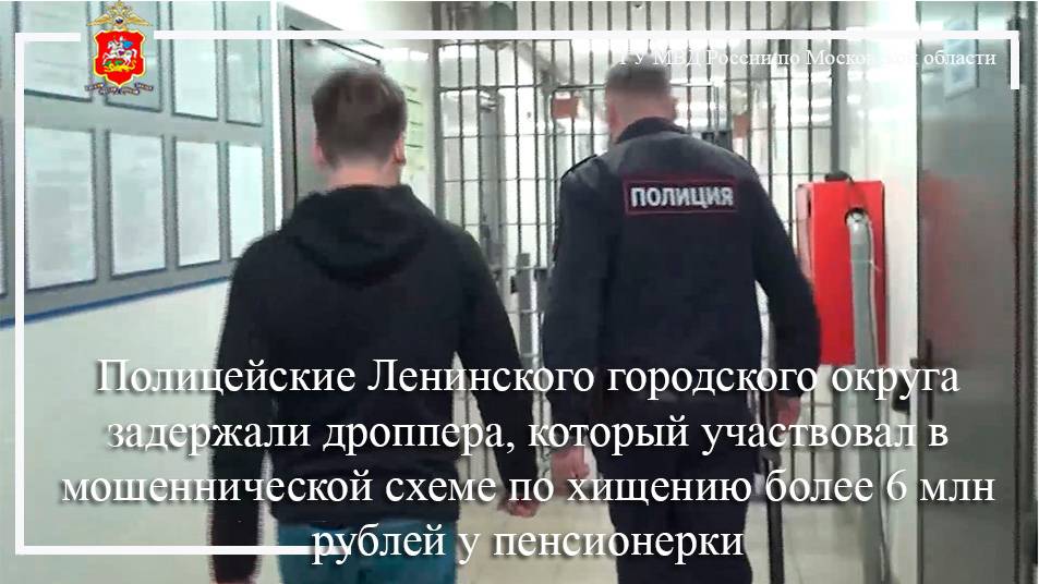 Полицейские Ленинского городского округа задержали дроппера, который участвовал в мошеннической схем смотреть онлайн