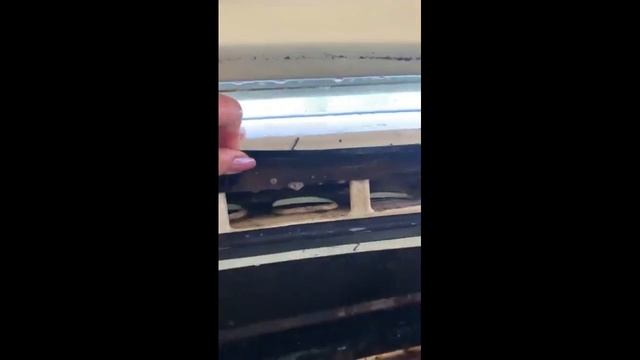 CLEANING DAY finally here on my 1966 Dodge Charger смотреть онлайн