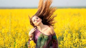 Бесплатные переходя для Прошоу/FREE Transitions Grids-Универсальные переходы для Proshow Producer