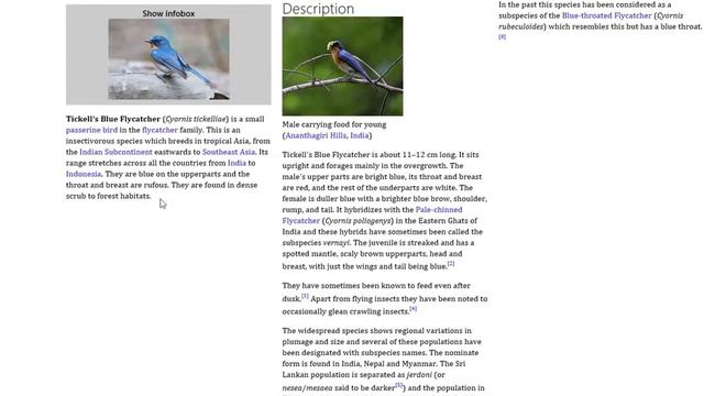 Wikipedia Windows 8 App смотреть онлайн