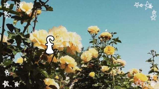 aesthetic intro templates and foonts/интро и шрифты/эстэтика/ смотреть онлайн