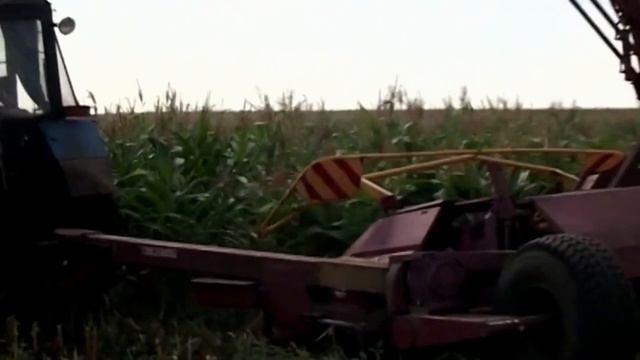 Комбайн Гомсельмаш Полесье КДП 3000 и МТЗ | Заготівля кормів. Заготівля силосу. Заготівля сінажа смотреть онлайн