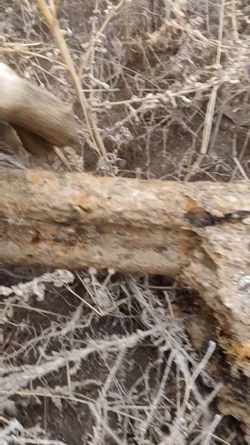 Отличная находка