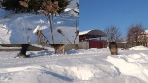 зима лето Романовка c квадрокоптера