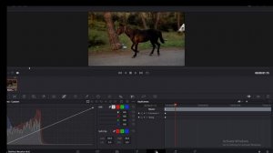 How To Take Screenshot In Davinci Resolve Tutorial